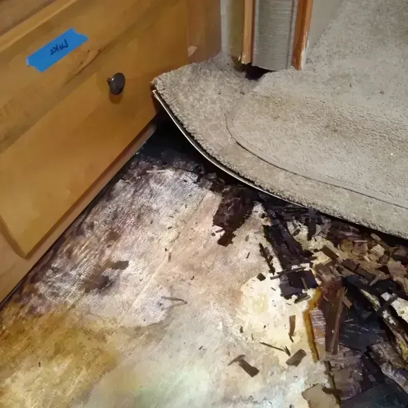 Wood Floor Water Damage in Bartow, FL